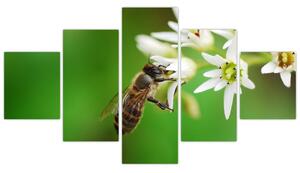 Fotka včely - obraz (Obraz 125x70cm)