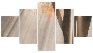 Obraz jesennej krajiny (Obraz 125x70cm)