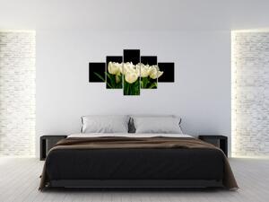 Biele tulipány - obraz (Obraz 125x70cm)