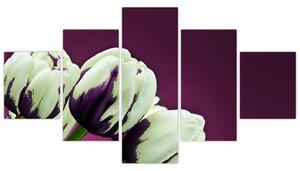 Makro tulipánov - obraz (Obraz 125x70cm)