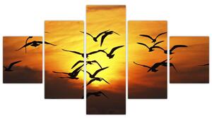 Obraz letiacich vtákov (Obraz 125x70cm)