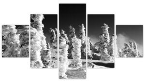 Obraz - zimné hory (Obraz 125x70cm)
