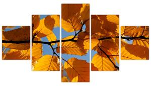 Jesenné lístie - obraz (Obraz 125x70cm)