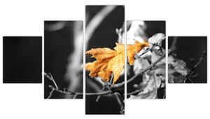 Obraz - prichádzajúce jeseň (Obraz 125x70cm)
