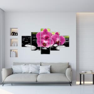 Fotka orchidey (Obraz 125x70cm)