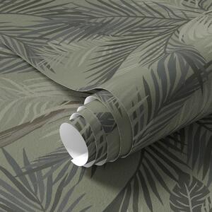 Tapety Tiene paliem na olivovej, Tapety les, Tapety stromy, a00217 : Uwalls.sk
