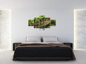 Obraz - most v prírode (Obraz 125x70cm)