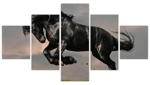 Čierny kôň, obraz (Obraz 125x70cm)