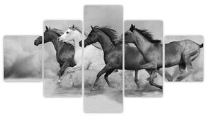 Obraz cválajúci koňov (Obraz 125x70cm)