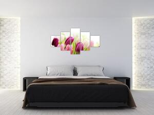 Tulipány, maľby (Obraz 125x70cm)