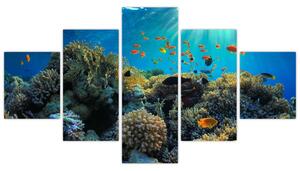 Obraz podmorského sveta (Obraz 125x70cm)