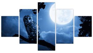 Nočná príroda, obrazy (Obraz 125x70cm)