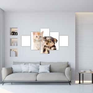 Mačiatko a šteňa - obraz (Obraz 125x70cm)