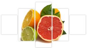 Citrusové plody - obraz (Obraz 125x70cm)
