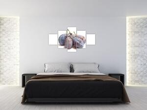 Slivky, obraz (Obraz 125x70cm)