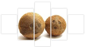 Kokosový orech, obraz (Obraz 125x70cm)