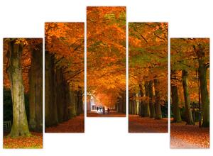 Obraz cesty lesom na jeseň (Obraz 125x90cm)