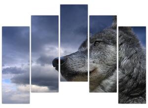Obraz vlka (Obraz 125x90cm)