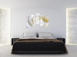 Obraz biele ruže (Obraz 125x90cm)