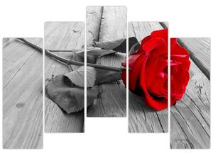 Obraz ruže s červeným kvetom (Obraz 125x90cm)