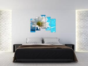 Obraz kvetu margaréty (Obraz 125x90cm)