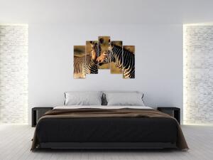 Obraz - zebry (Obraz 125x90cm)