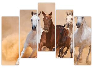 Obrazy bežiacich koní (Obraz 125x90cm)