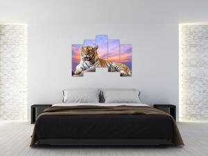 Obraz ležiaceho tigra (Obraz 125x90cm)