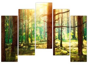 Moderný obraz - les (Obraz 125x90cm)