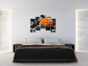 Oranžový kvet na čiernobielom pozadí - obraz (Obraz 125x90cm)