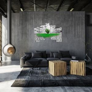 Zelený ostrov vo vyprahnutej krajine - obrazy do obývačky (Obraz 125x90cm)