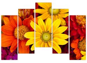 Obraz kvetín (Obraz 125x90cm)