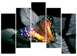 Motýľ na liste - obraz (Obraz 125x90cm)