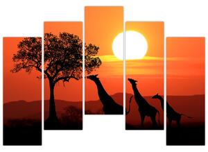 Obraz žirafy pri západe slnka (Obraz 125x90cm)