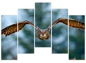 Obraz letiaci sovy (Obraz 125x90cm)