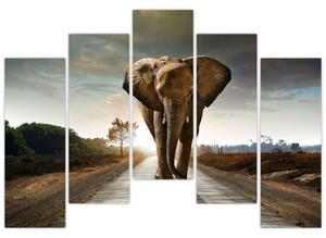 Obraz kráčajúceho slona (Obraz 125x90cm)