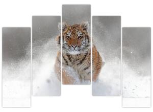 Obraz bežiaceho tigra (Obraz 125x90cm)