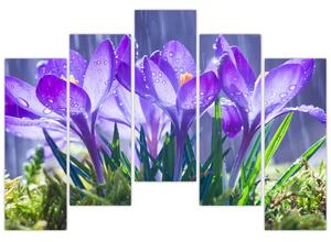 Obraz kvetov pri daždi (Obraz 125x90cm)