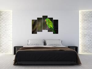 Obraz zeleného papagája (Obraz 125x90cm)