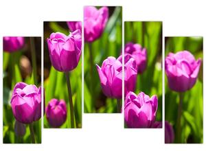 Obraz kvitnúcich tulipánov (Obraz 125x90cm)