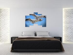 Obraz do bytu - vtáky (Obraz 125x90cm)