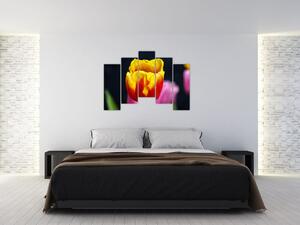 Obraz tulipánu (Obraz 125x90cm)