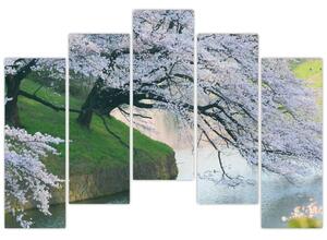 Obraz kvitnúcich stromov (Obraz 125x90cm)