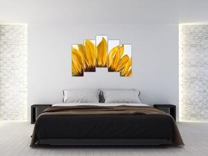 Obraz kvetu slnečnice (Obraz 125x90cm)