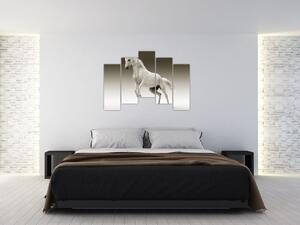 Obrazy bieleho koňa (Obraz 125x90cm)