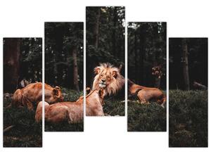 Obrazy - levy v lese (Obraz 125x90cm)