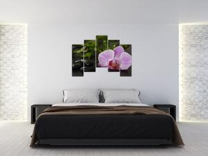Moderný obraz kvetu (Obraz 125x90cm)