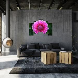 Obraz ružového kvetu (Obraz 125x90cm)
