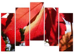 Obraz červených listov (Obraz 125x90cm)