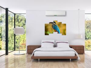 Obraz - farebný vták (Obraz 125x90cm)
